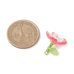 Прозрачные акриловые подвески&nbsp;PALLOY-MZ00822-02