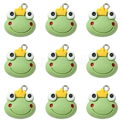 Подвески из непрозрачной смолы 10 шт.&nbsp;RESI-YW0005-01