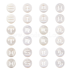 24 шт. 12 стиля природных пресноводных ракушек&nbsp;SHEL-KS0001-04