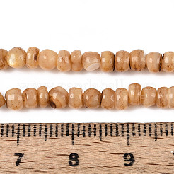 Натуральные пресноводные окрашенные бусы из ракушек&nbsp;SHEL-T020-29A-04