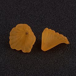 Прозрачные акриловые бусины&nbsp;PL622-C09