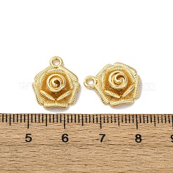 Латунные подвески&nbsp;KK-D388-14G