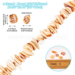 1 нить бусин из натуральных ракушек&nbsp;SSHEL-TA0001-13