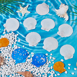 80 шт. украшения из натуральных ракушек&nbsp;DIY-WA0001-03