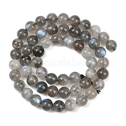 Природные лабрадорита бисер нитей&nbsp;G-Z133-A01-7mm-02