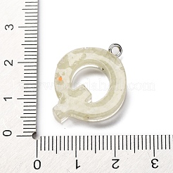 Светящиеся подвески смолы&nbsp;RESI-I059-Q02