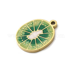 Подвески из нержавеющей стали 304 с эмалью&nbsp;STAS-I335-02G-03