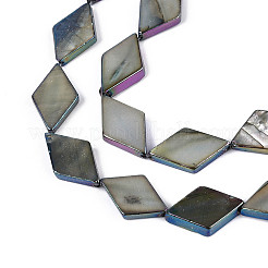 Окрашенные нити бусин из натуральных пресноводных ракушек&nbsp;SHEL-T020-13M