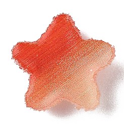 Смола декодирует кабошоны&nbsp;CRES-Y001-02A-02