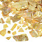 Natural Abalone/Paua Shell Mica Fragment, Nail Art Decorations, Shell Mica Slices, Dyed, Gold, 1~20x1~15x0.5mm