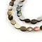 Oval Natural Black Lip Shell Beads Strands, 8x6x2.5~3mm, Hole: 0.5mm, about 49pcs/strand, 15.7 inch