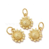 Подвески из экологически чистой латуни&nbsp;KK-A177-31G