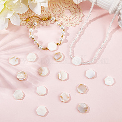 2 нить бусин из натуральных пресноводных ракушек&nbsp;SSHEL-SC0001-36D