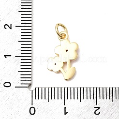 Подвески из латуни с прозрачным фианитом&nbsp;KK-G554-07G-02