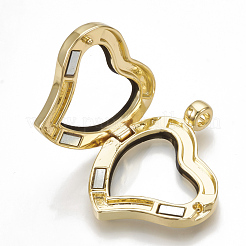 Сплав магнитные подвески медальон&nbsp;PALLOY-T052-13G