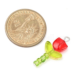 5 шт. 5-х цветные прозрачные подвески-лэмпворк&nbsp;PALLOY-JF04462-02