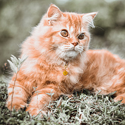 40шт 2 цвета латунные подвески&nbsp;KK-TA0003-22