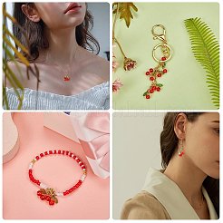 40шт подвески из стекла и акрила из бисера&nbsp;FIND-SZ0003-73