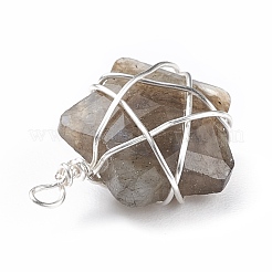 Природных драгоценных камней подвески&nbsp;PALLOY-JF01457-02