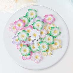 Подвески из непрозрачной смолы 30 шт.&nbsp;RESI-BM0001-01