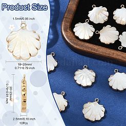 10 шт. подвески из натуральных пресноводных ракушек с гальваническим покрытием&nbsp;SHEL-CJ0001-39