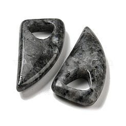 Природные подвески лабрадорита&nbsp;G-M417-03C