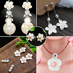 Природные подвески оболочки пресноводных&nbsp;SSHEL-KS0001-01