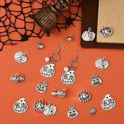 Подвески из сплава в тибетском стиле&nbsp;FIND-SC0019-39