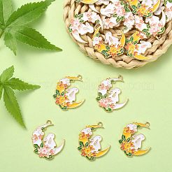 20шт 2 цвета сплава эмалевые подвески&nbsp;ENAM-CJ0003-84