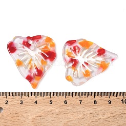 Прозрачные подвески из ацетата целлюлозы (смолы)&nbsp;FIND-C088-05B