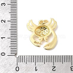 Латунные подвески&nbsp;KK-P343-04G