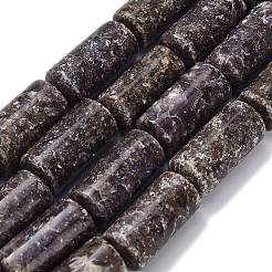 Натуральный лепидолит / пурпурный слюдяный камень бисер пряди&nbsp;G-H335-C01