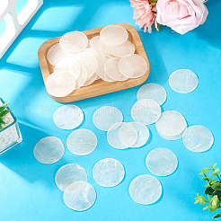 80 шт. подвески-соединители из натуральной ракушки Capiz&nbsp;SHEL-MB0001-01