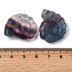 Природного флюорита подвески&nbsp;G-NH0065-01H