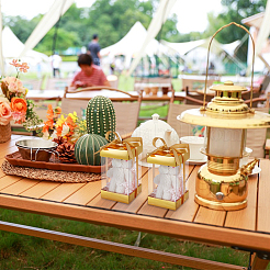 10 шт. прямоугольных прозрачных пластиковых подарочных упаковочных коробок с бумажным верхом и низом&nbsp;CON-WH0099-96B