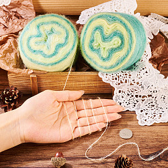 Сегментированная окрашенная пряжа для вязания&nbsp;DIY-TAC0033-03D