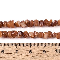 Нити бусин из натуральных пресноводных ракушек&nbsp;SHEL-N037-04C