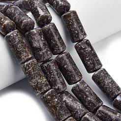 Натуральный лепидолит / пурпурный слюдяный камень бисер пряди&nbsp;G-H335-C01