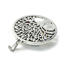 Антикварные серебряные тона сплава подвески&nbsp;PALLOY-JF02361-01