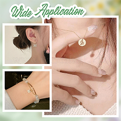 DIY Двенадцать Созвездий сплава Стразы Соединительные Шармы и Подвески Изготовление Бижутерии Фурнитура Наборы&nbsp;DIY-AR0004-13