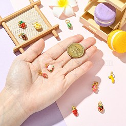 10шт 10 стиля сплава эмалевые подвески&nbsp;FIND-CJ0005-18