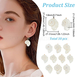 10 шт. подвески из натуральной морской ракушки&nbsp;SSHEL-ME0001-05