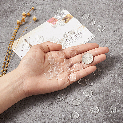 Прозрачные акриловые подвески&nbsp;TACR-TA0001-01-1