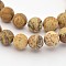 Natural Picture Jasper Beads Strands, Frosted, Round, 6mm, Hole: 1mm, about 63pcs/strand, 14.5~15 inch