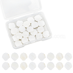 30 шт. резные бусины из натуральных пресноводных ракушек&nbsp;BSHE-SC0001-29