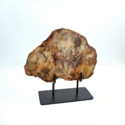 Натуральный окаменевший срез древесины на черной железной подставке&nbsp;AJEW-H157-02