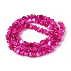 Нити бусин из натуральных пресноводных ракушек&nbsp;SHEL-N037-04E