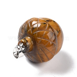 Природных тигровый глаз подвески&nbsp;G-M393-01P-03