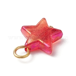 Прозрачные акриловые подвески&nbsp;PALLOY-JF03549