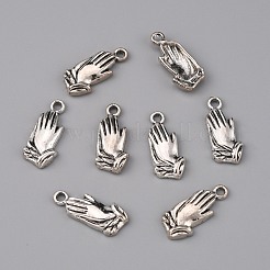 Подвески из цинкового тибетского сплава&nbsp;FIND-TAC0001-48AS